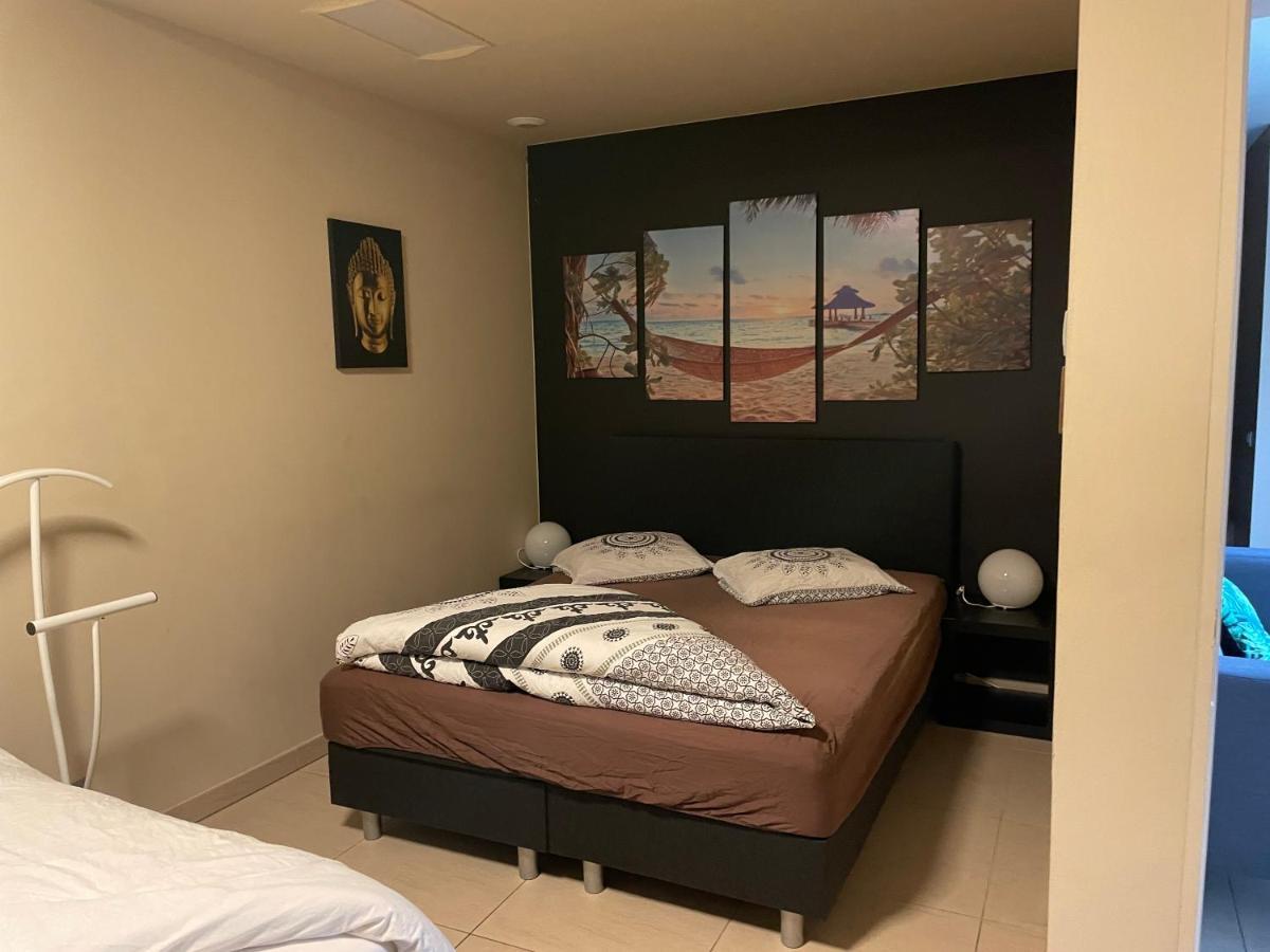 Vlaamse Ardennen Vakantiehuis Casa Caliente Met Wellness Avelgem 외부 사진